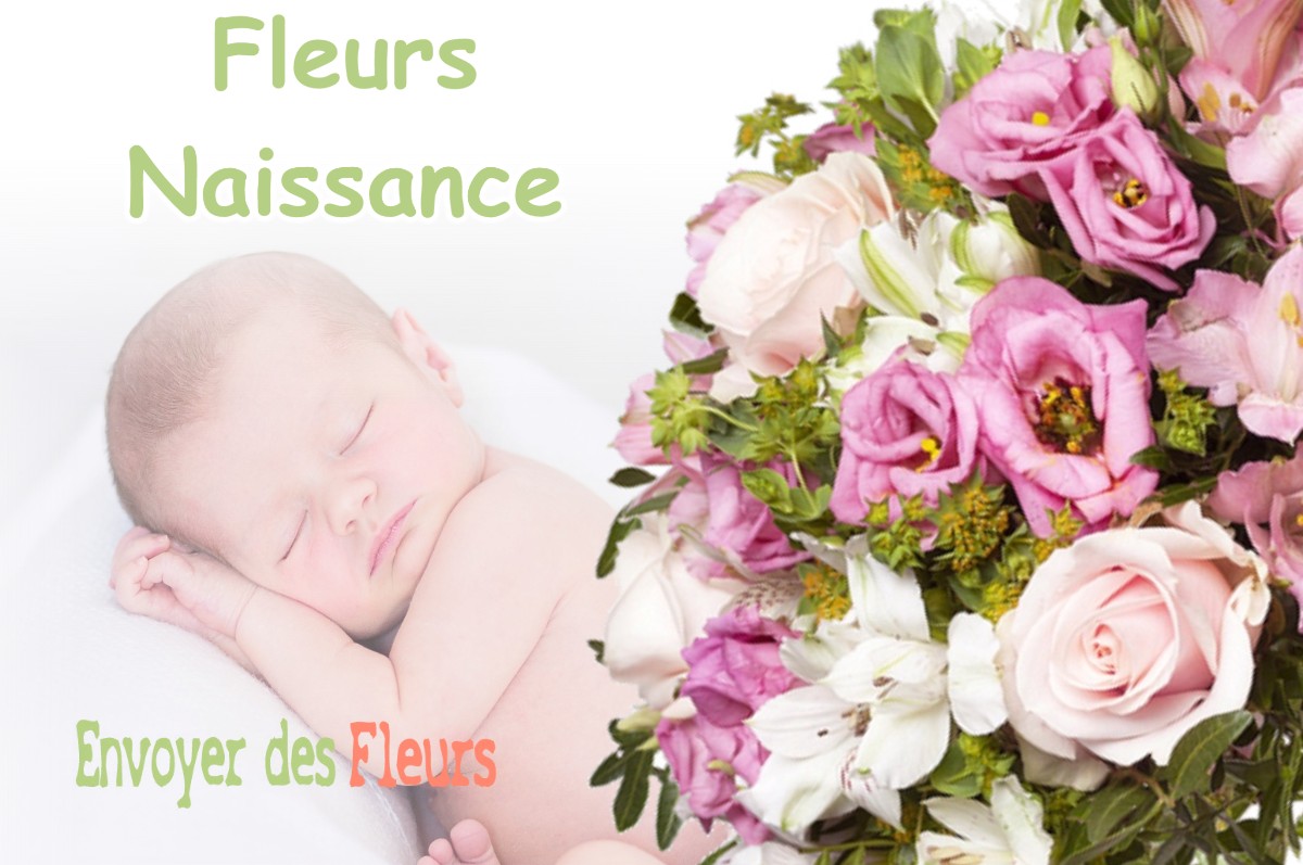 lIVRAISON FLEURS NAISSANCE à TOURETTE-DU-CHATEAU